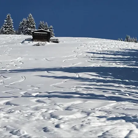 Almchalet Zillertal Appartamento